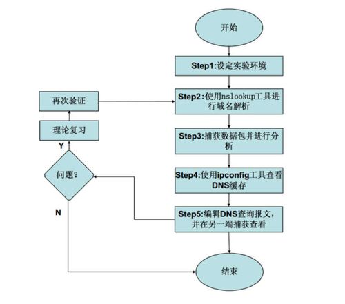 DNS域名服務(wù)協(xié)議實驗在計算機網(wǎng)絡(luò)技術(shù)教學中的實踐與探索